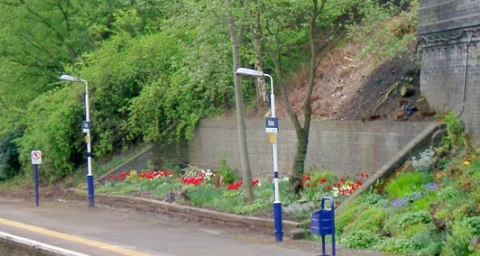 Tulips in full bloom at Eccles Station, April 2009
